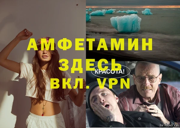 Альфа ПВП Аркадак