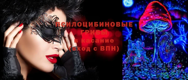 не бодяженный Арсеньев
