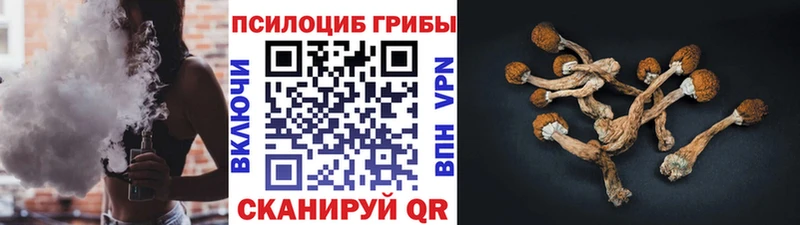 Галлюциногенные грибы мицелий  Певек 